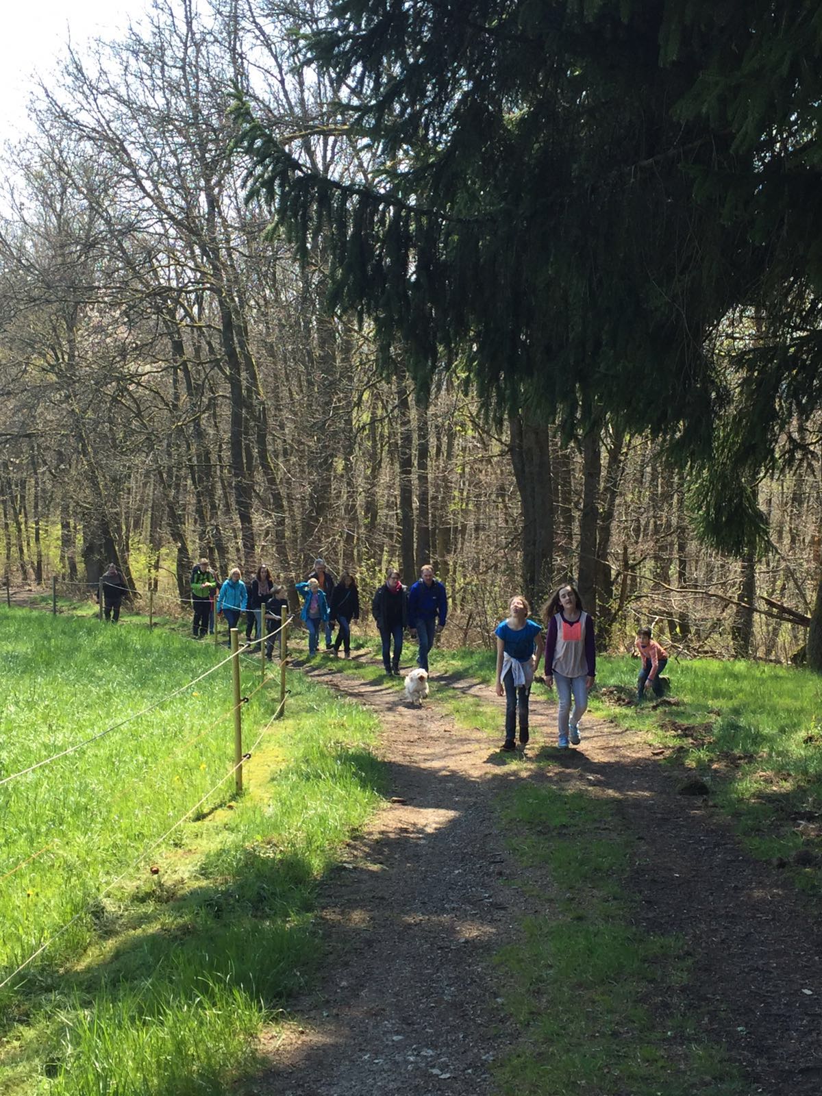 Maiwanderung des CVJM